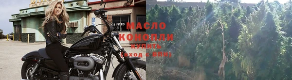 крисы Абдулино