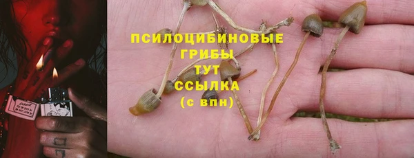 первитин Абинск