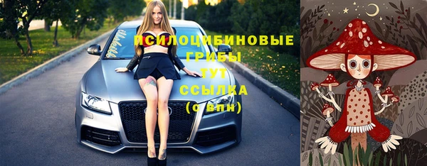 амфетамин Новодвинск