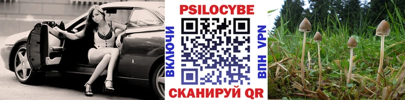 Галлюциногенные грибы MAGIC MUSHROOMS  цены   Тайга 
